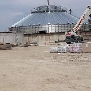 Meet your Posher, Wilmer